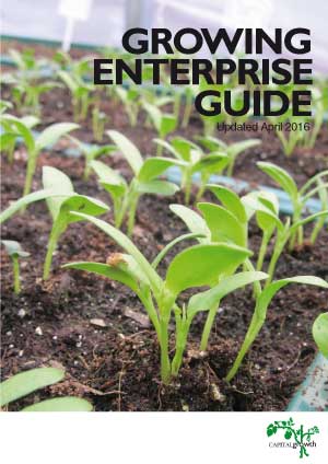 Growing enterprise guide