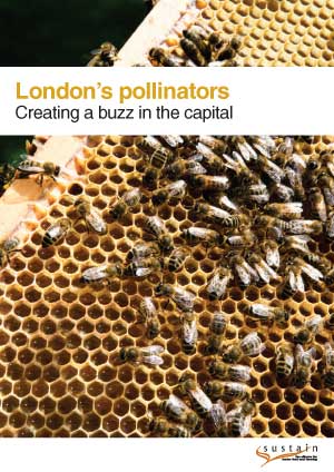 London's pollinators: Creating a buzz in the capital