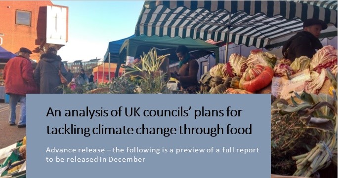 Initial analysis of UK Local Authority plans to tackle climate change through food