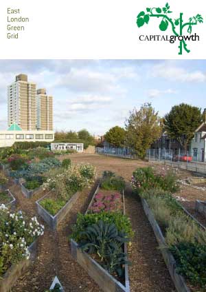 East London Green Grid: Supporting community food growing in East London