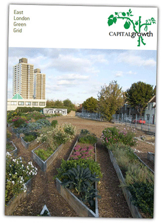 East London Green Grid: Supporting community food growing in East London