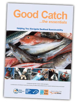 Good Catch... the essentials - a manual of seafood sustainability