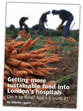 Getting more sustainable food into London's hospitals: Can it be done? And is it worth it?