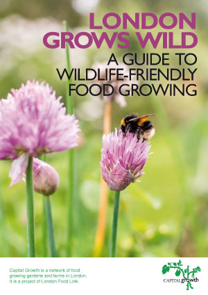 London Grows Wild: A guide to wildlife-friendly food growing