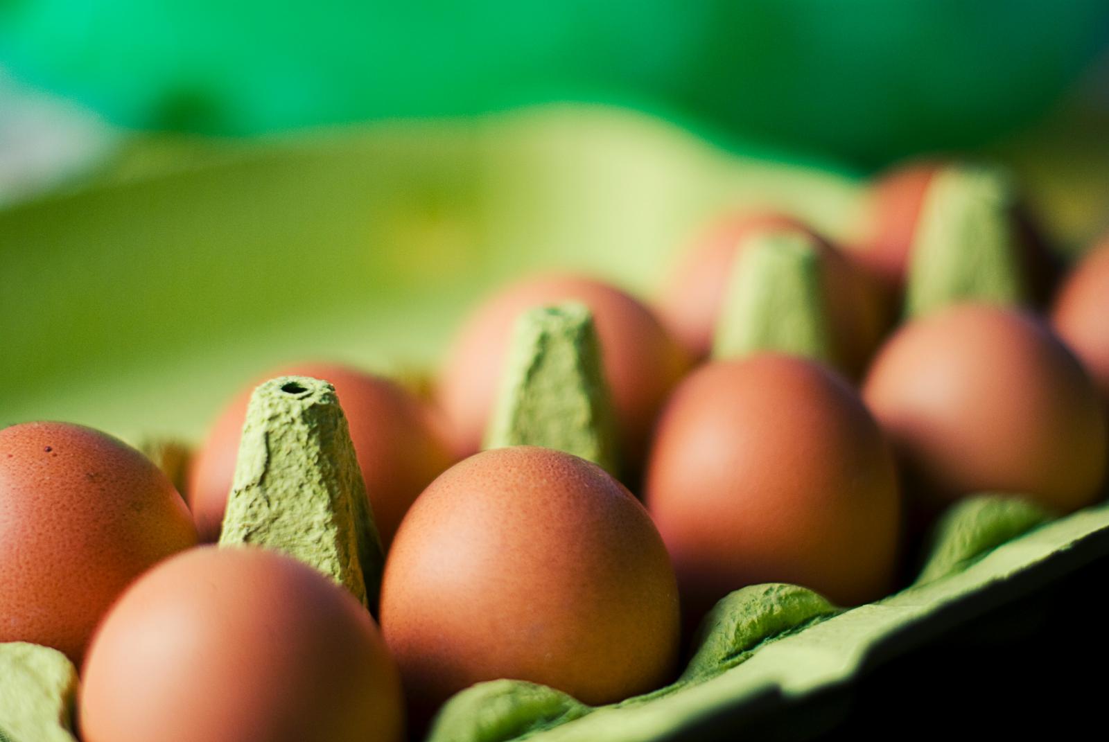 Eggs. Photo credit: tookapic on Pexels