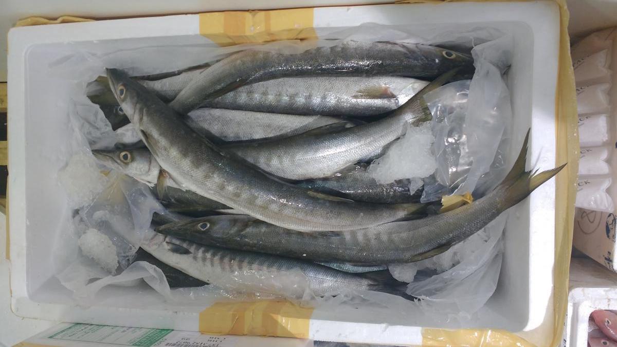 Billingsgate Fish Market. Photo credit: Ruth Westcott