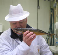 Billinsgate Seafood Training School fish training