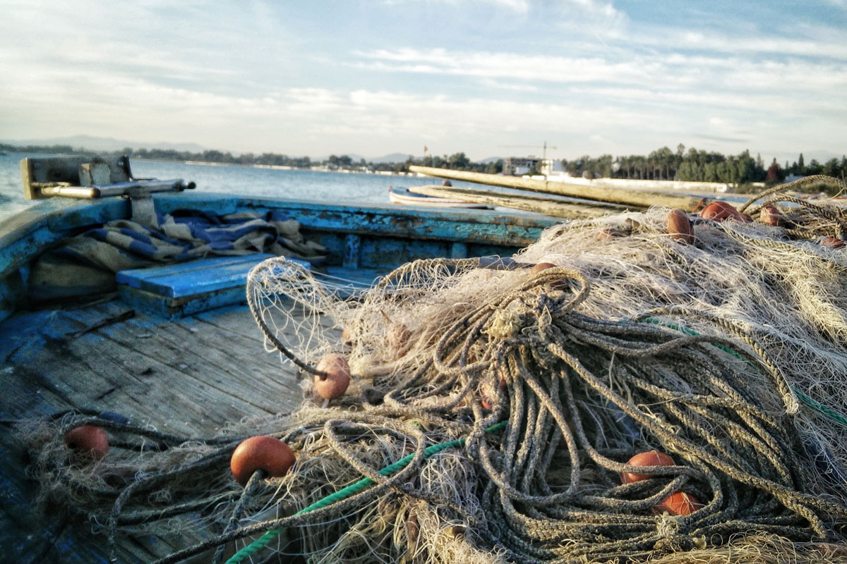 Fishing net. Photo credit: Pexels