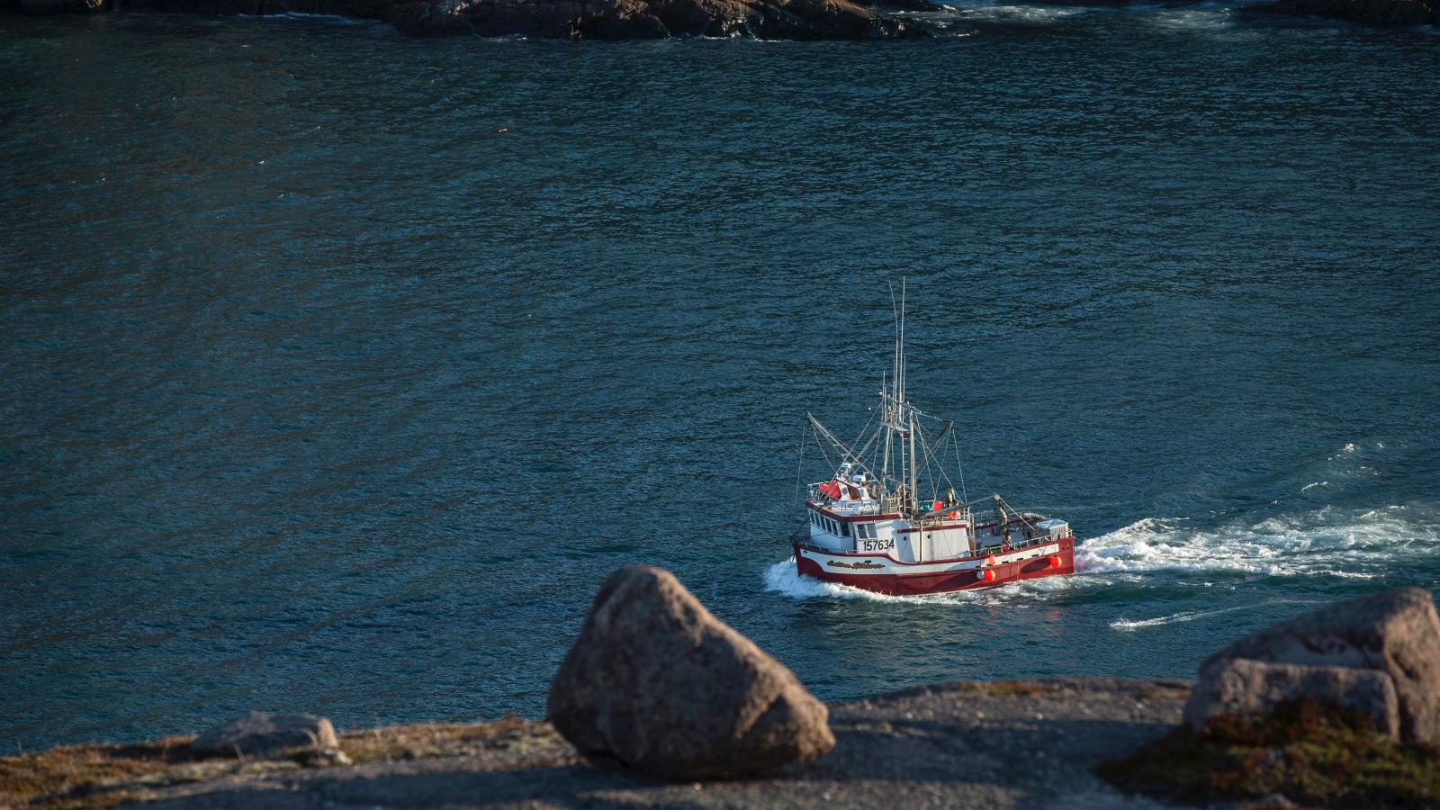 Fishing boat. Photo credit: Sebastian Voortman. Pexels