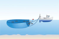 Pelagic or mid-water trawling