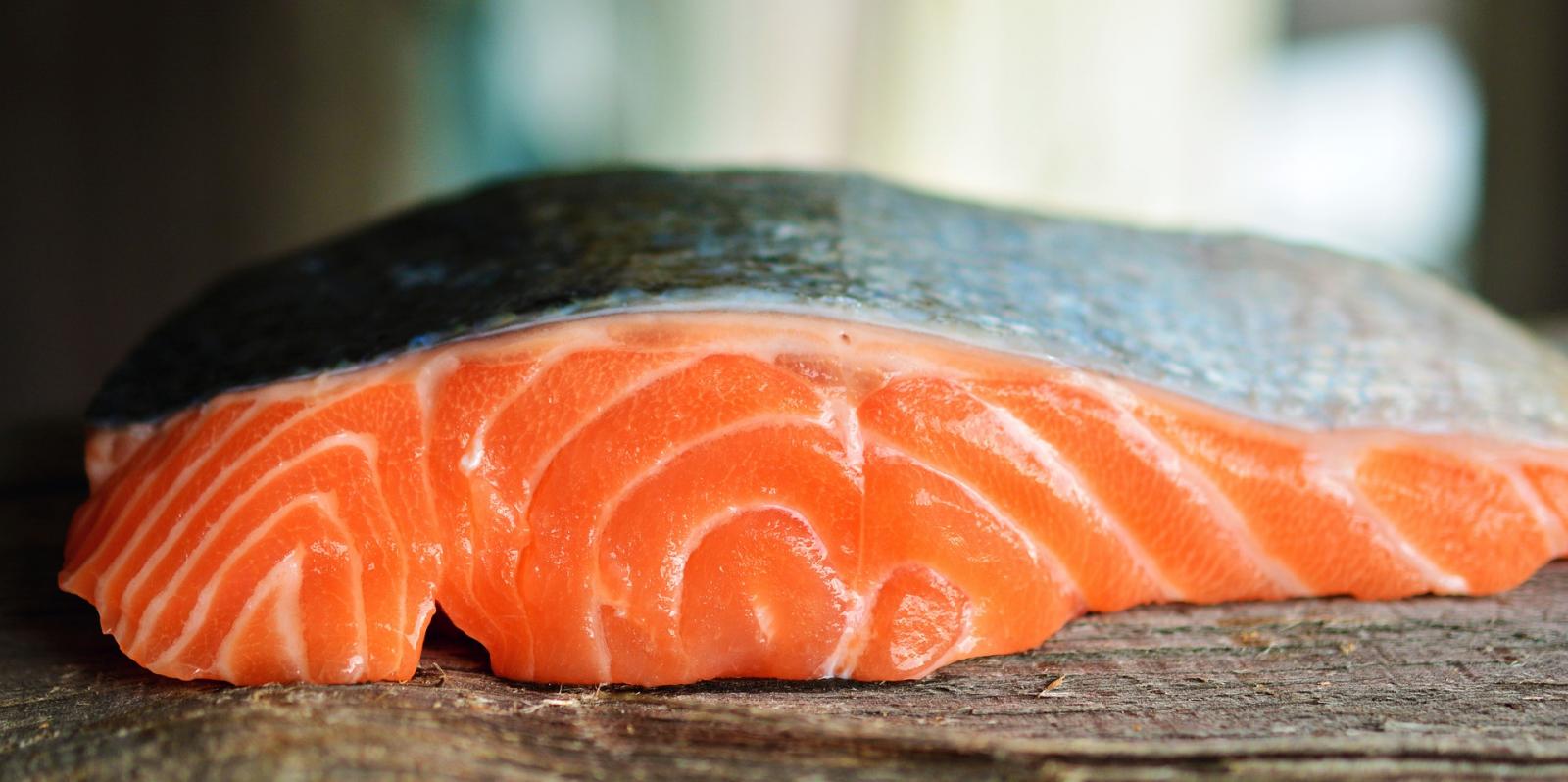 Salmon. Photo credit: Pixabay