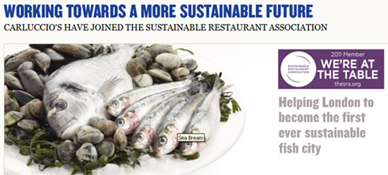 Carluccio's sustainability commitments