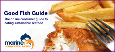 Marine Conservation Society sustainable seafood guide