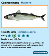 MCS Good Fish Guide