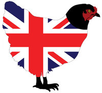 British chicken