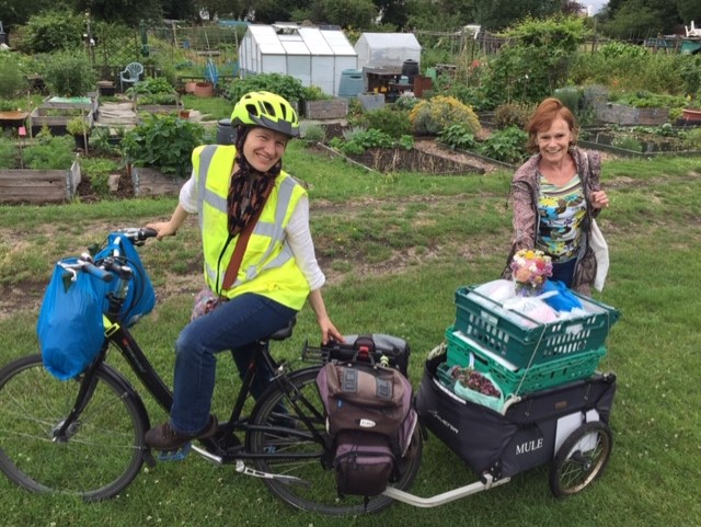 Carshalton Community Food Garden, photo by Tansy Honey