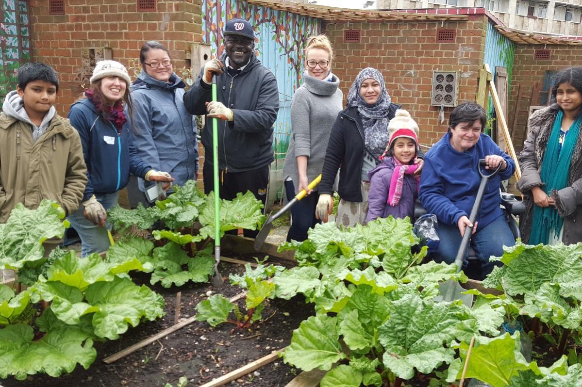 Growers at Cranbrook Community Food Garden Cranbrook Community Food Garden © Elaine Armstrong