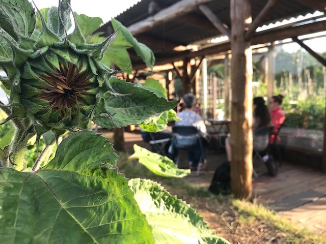 Grow Well, Feel Well 2019 - Spitalfields City Farm