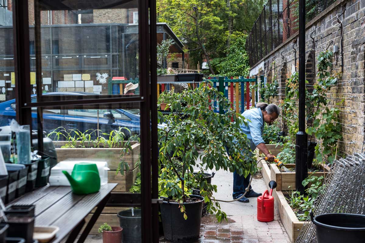 Growing Culture Greenhouse by Tania Han