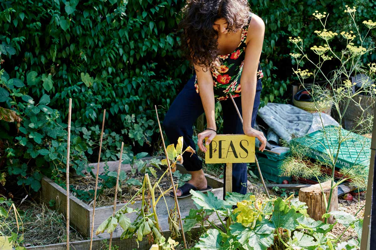 May Project Gardens by AgnÄ— BekeraitytÄ—