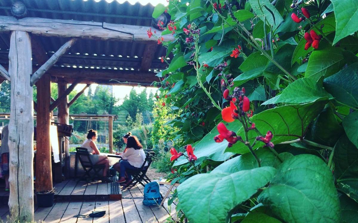 Workshop at Spitalfields City Farm