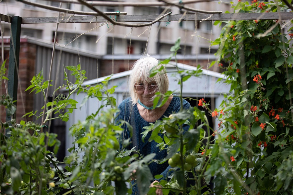 Janet from Cranbrook Community Food Garden. Photo by Zoe Warde Aldam.