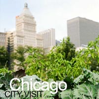 City visit to see food growing projects - Chicago