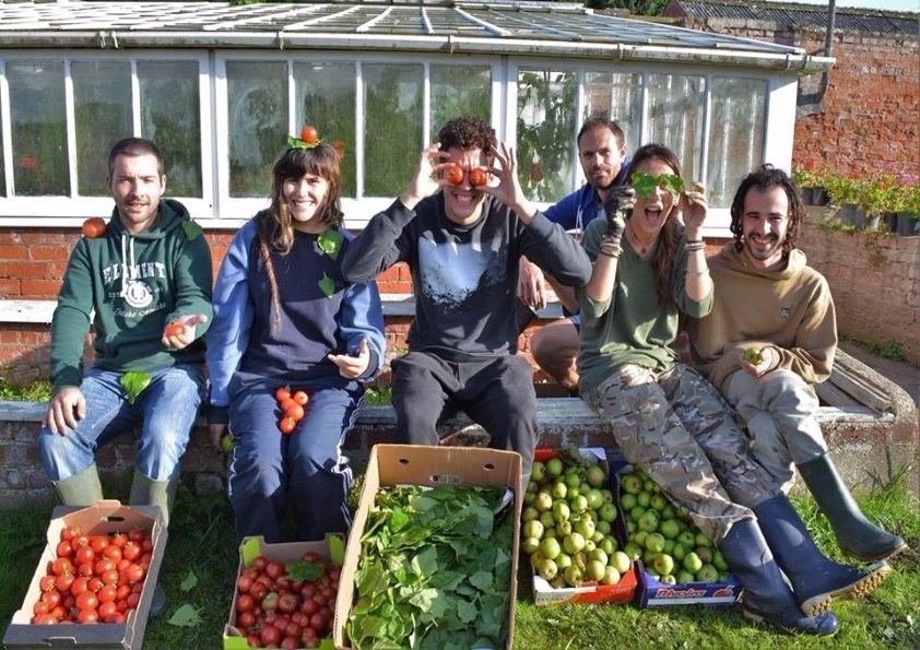 WWOOF volunteers. Photo credit: WWOOF UK