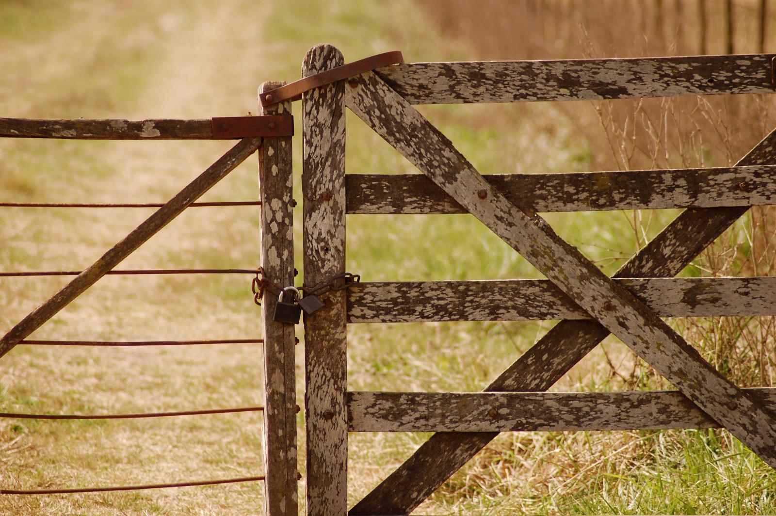 Farm gate. Photo credit: Pexels