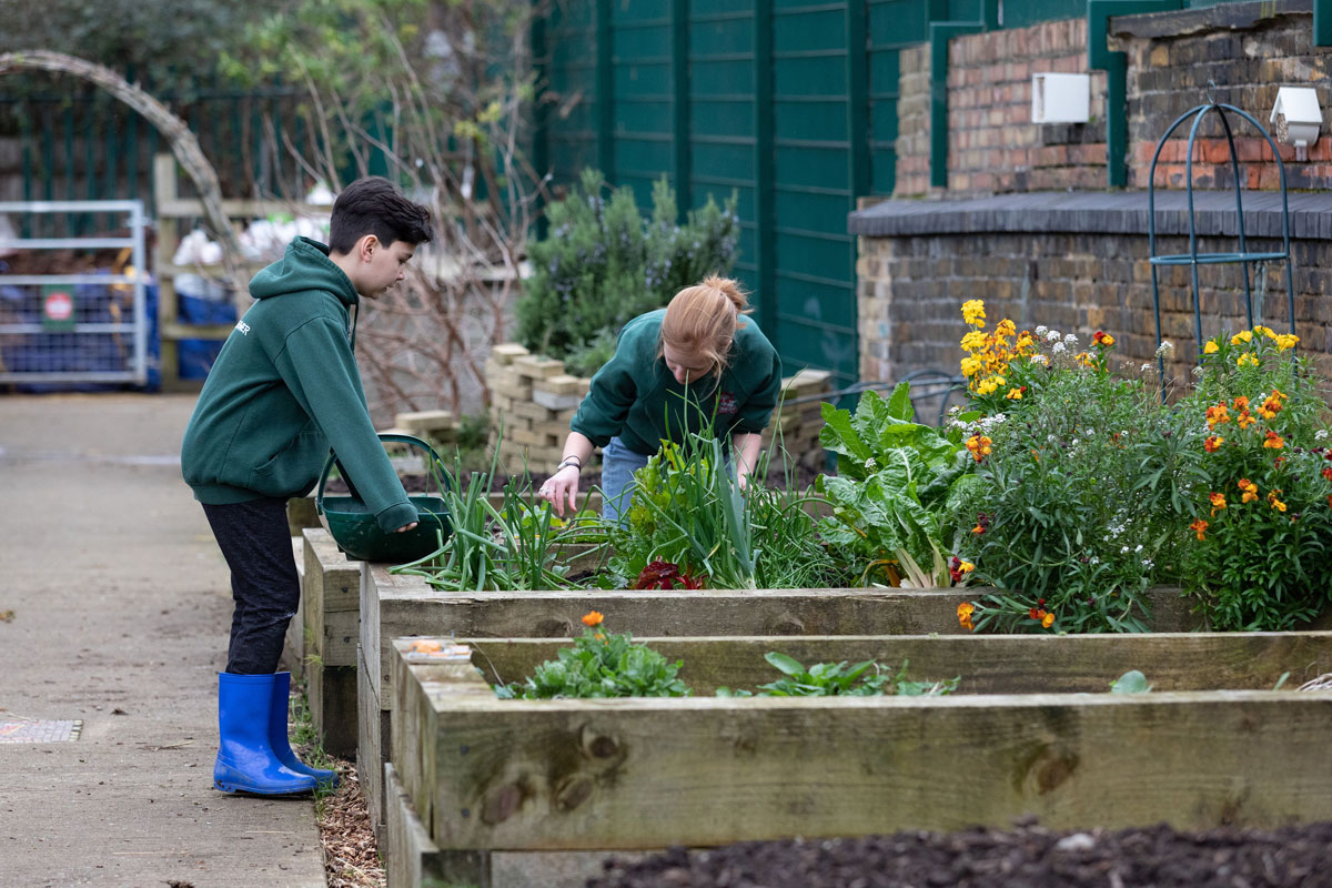 Young Farmers at Surrey Docks Farm by Zoe Walde-Aldam