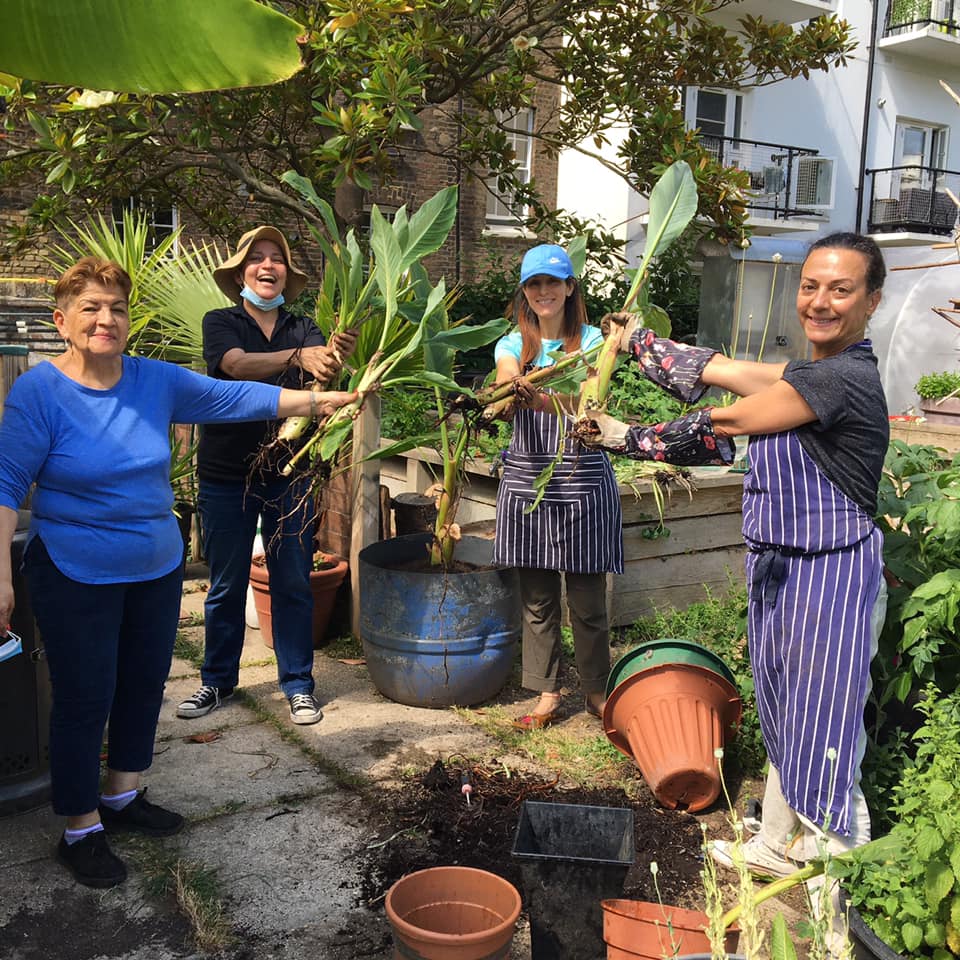 Photo credit: Calthorpe Community Garden