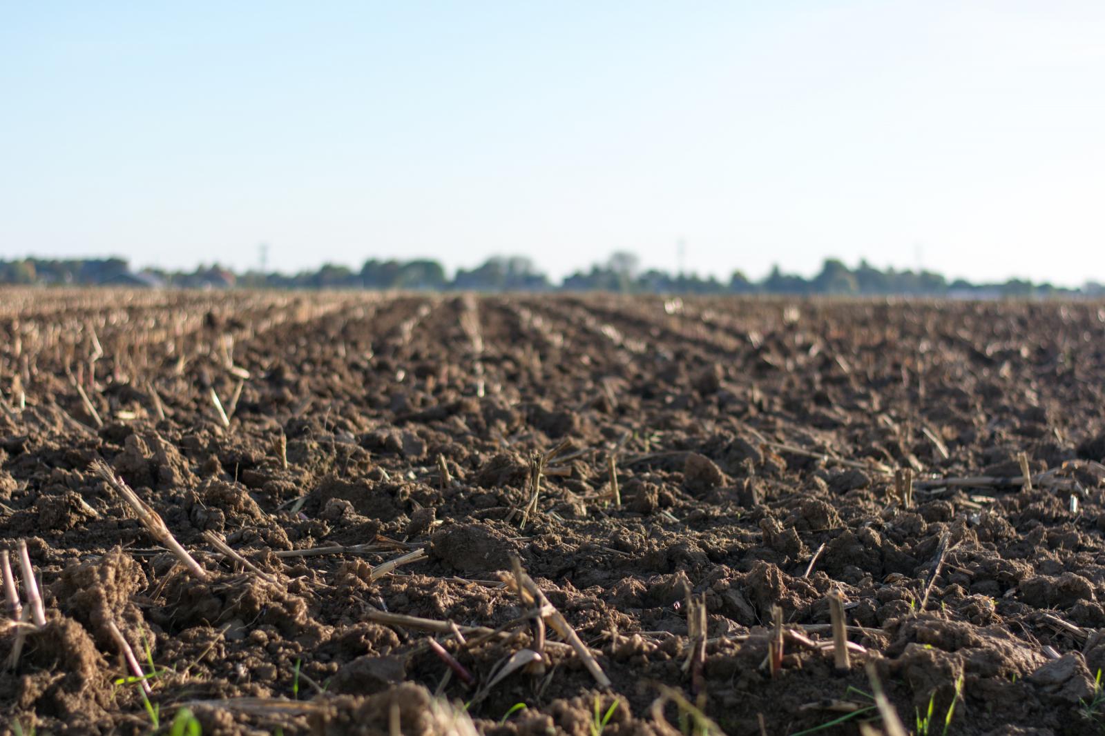 Farm soil. Photo credit: Pexels