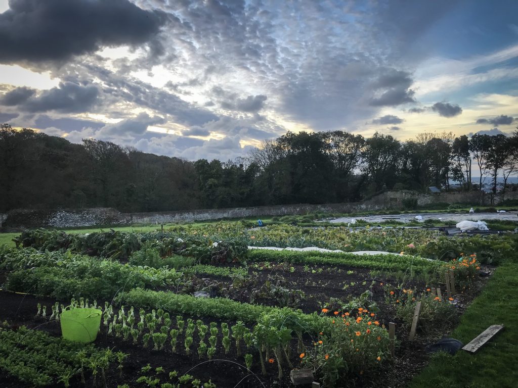 View over Soul Farm CSA based in Cornwall. Credit: Laurence and Adele Jarrett-Ker, Soul Farm