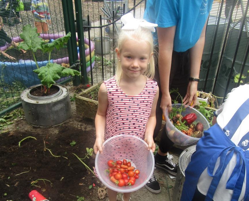 Clubs and playgrounds in Portsmouth grow their own vegetables. Credit: Portsmouth City Council