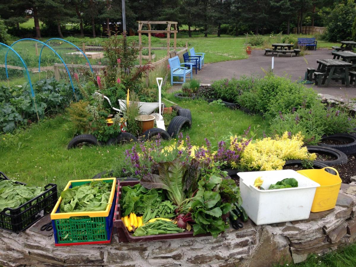 Herb garden and harvest. Credit: Peebles CAN