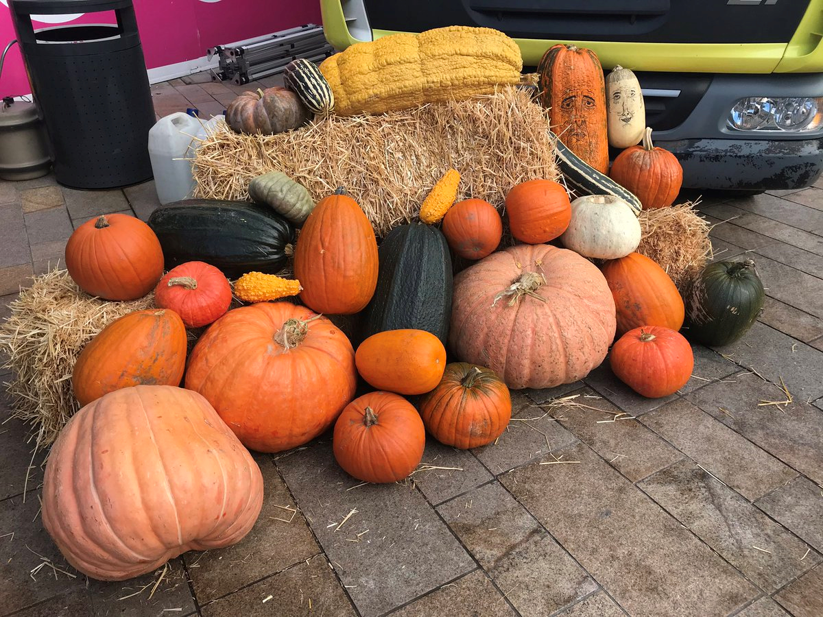 Veg Cities Hull launch involved delicious pumpkin soup. Credit: Hull Food Partnership