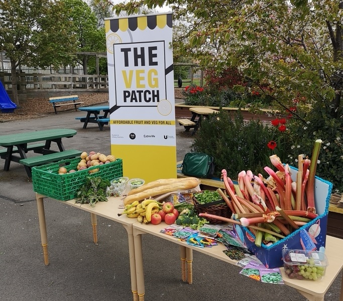 Veg Patch in primary school. Credit: Middlesbrough Environment City