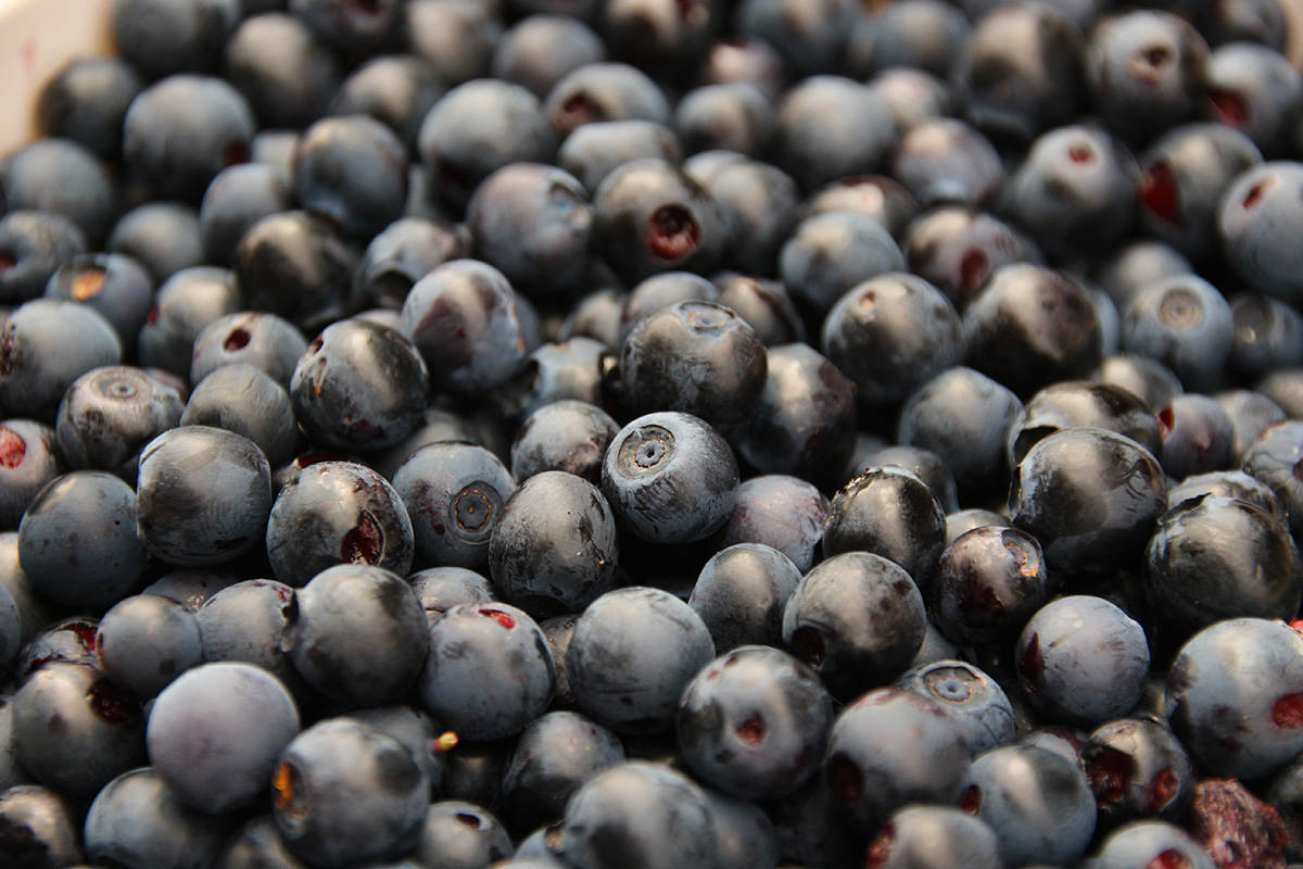 Blueberries by Chris Young