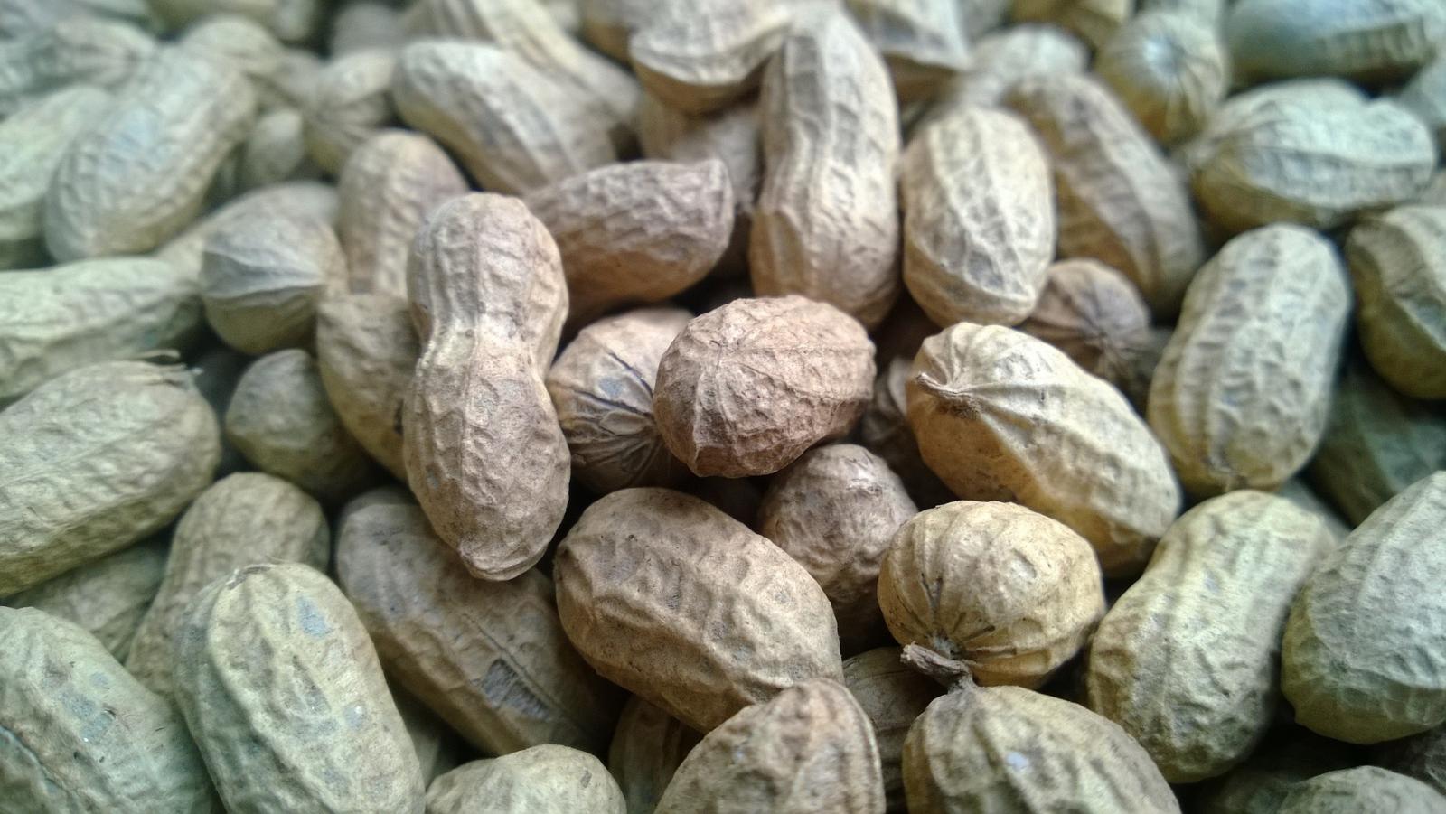 Peanuts. Photo credit: Pixabay
