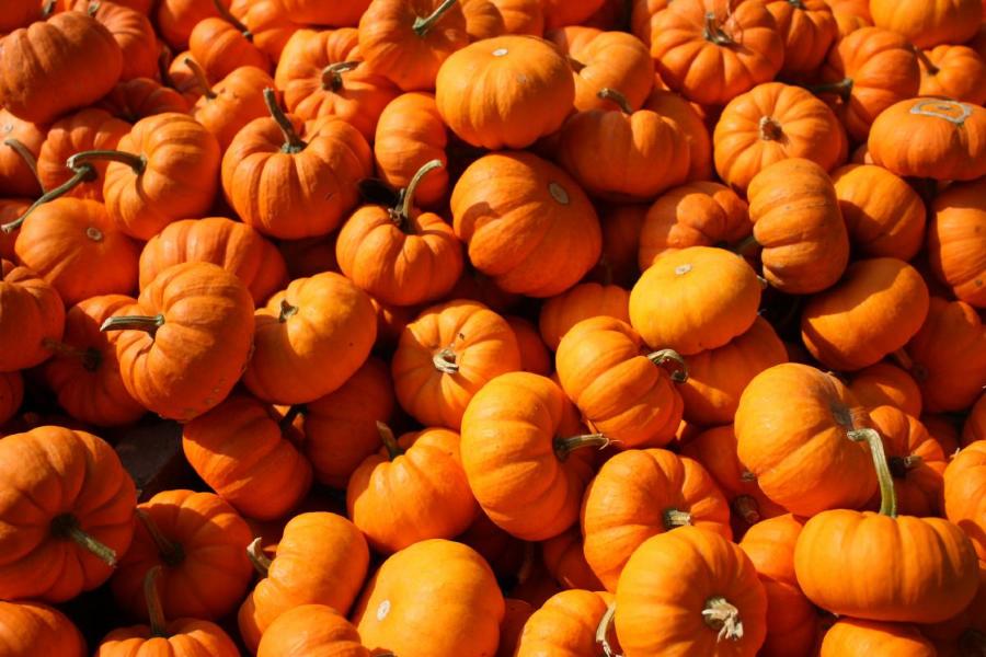 Pumpkins by Inna Heasley / Pexels. Copyright free