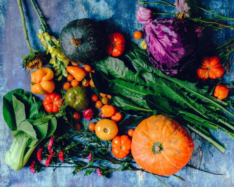 Assortment of fruit and veg. Photo credit: Pexels