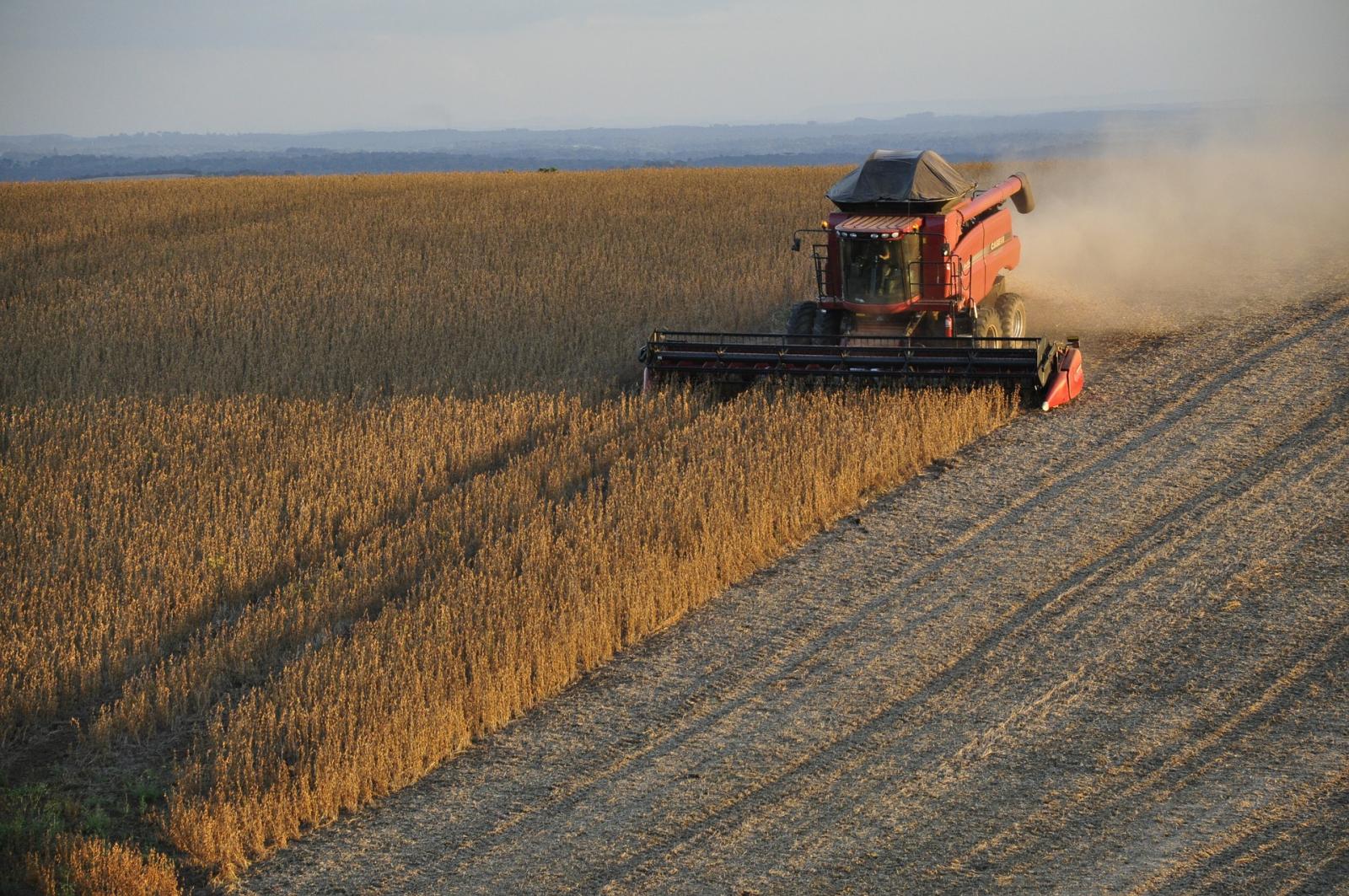 Soybean being harvested. Credit: Pixabay