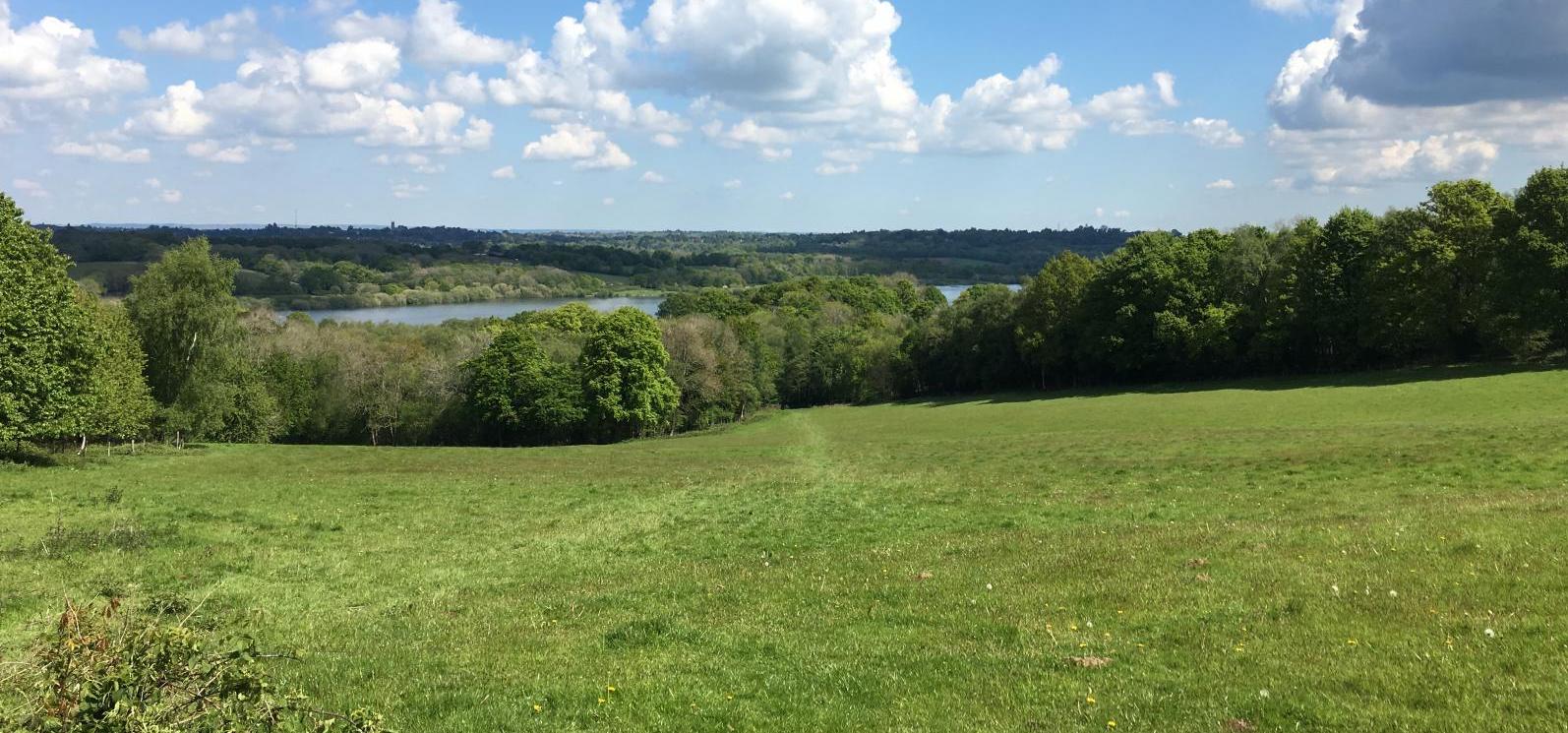 High Weald AONB landscape, credit: James Woodward