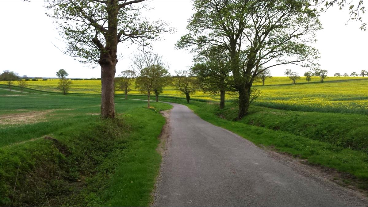 RSA researchers will tour the UK by bike, asking for people's views. Photo credit: Food, Farming and Countryside Commission