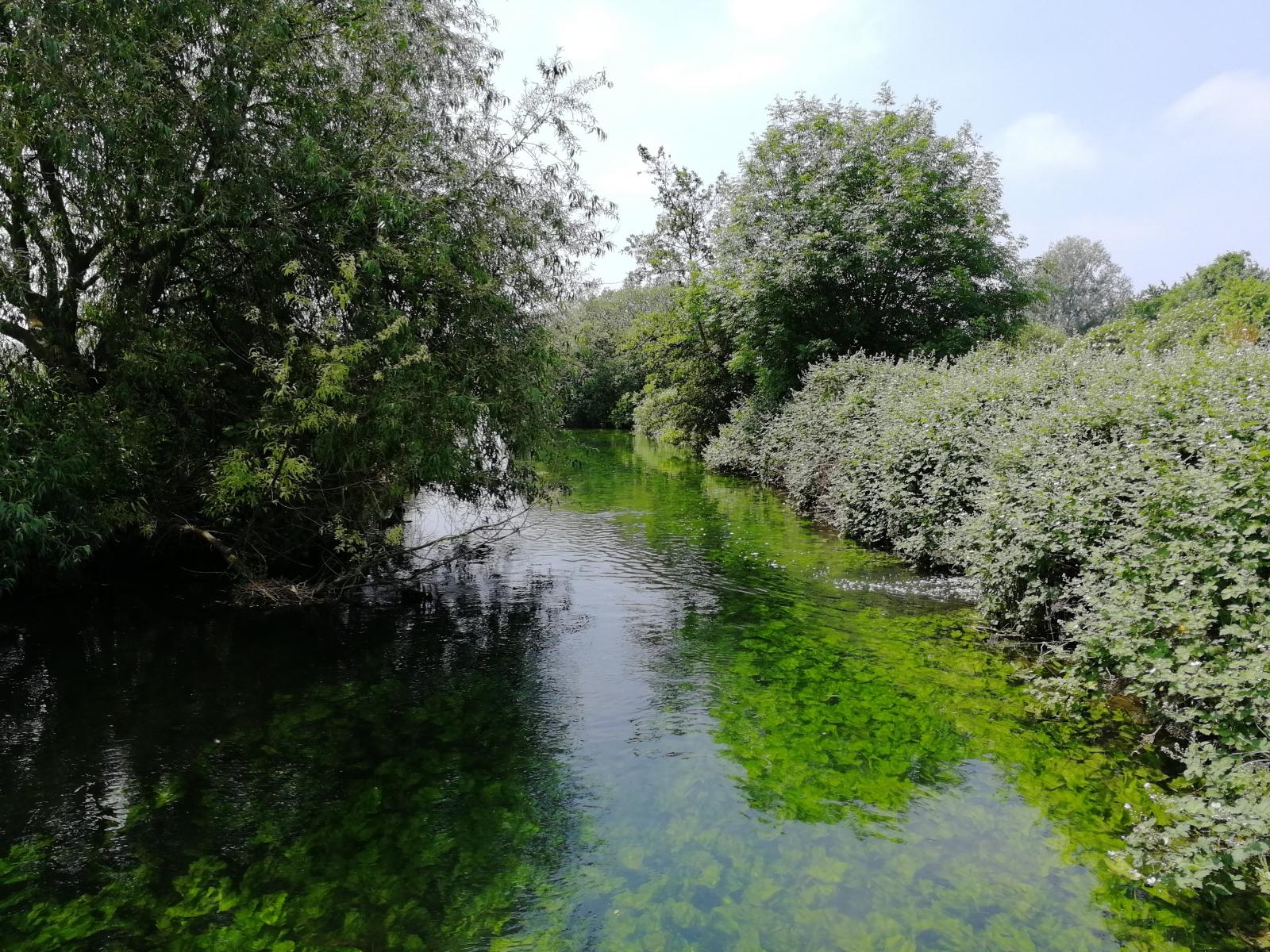 chalk Stream, UK Credit V Hird