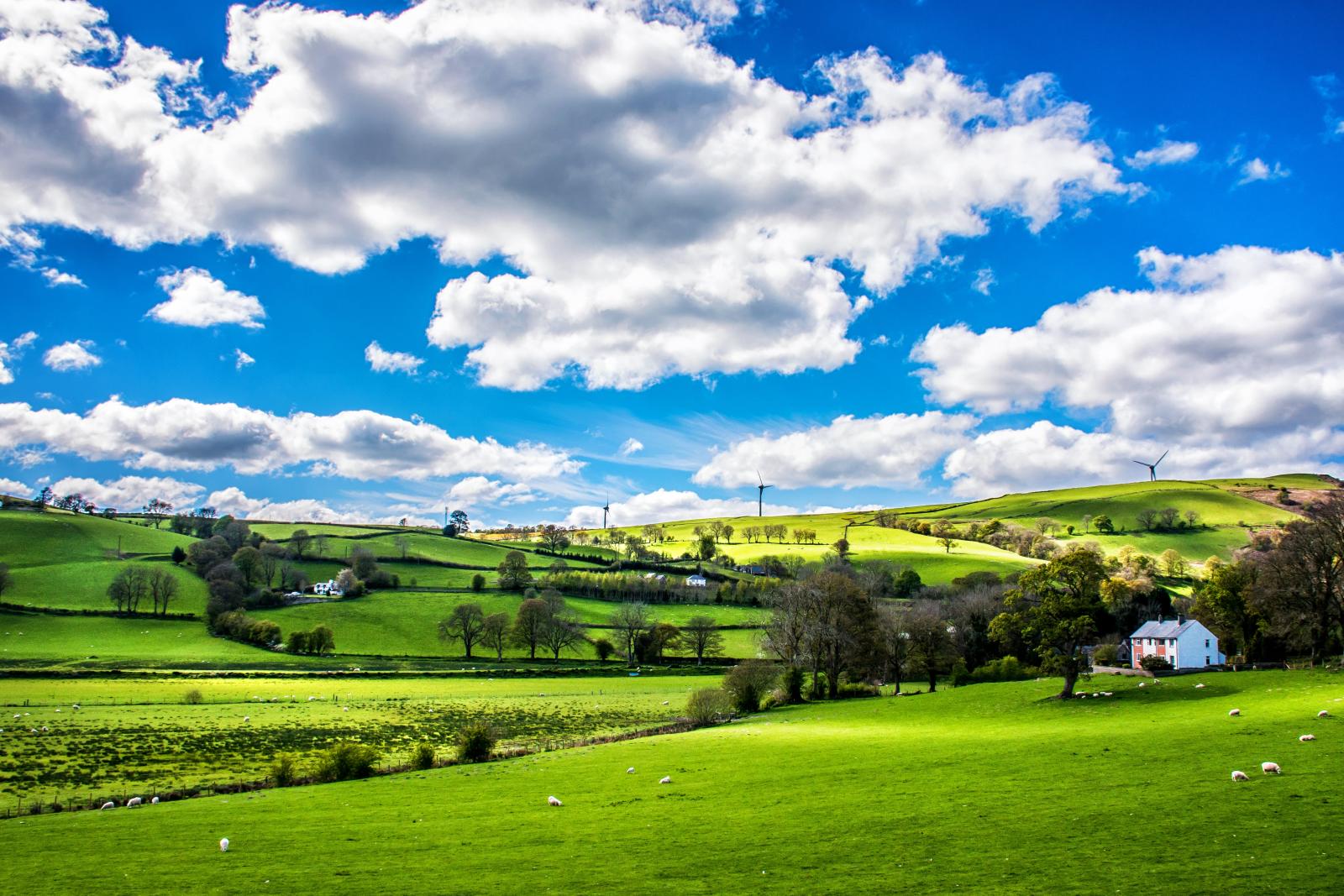 Enclosed farmland. Photo credit: Pexels