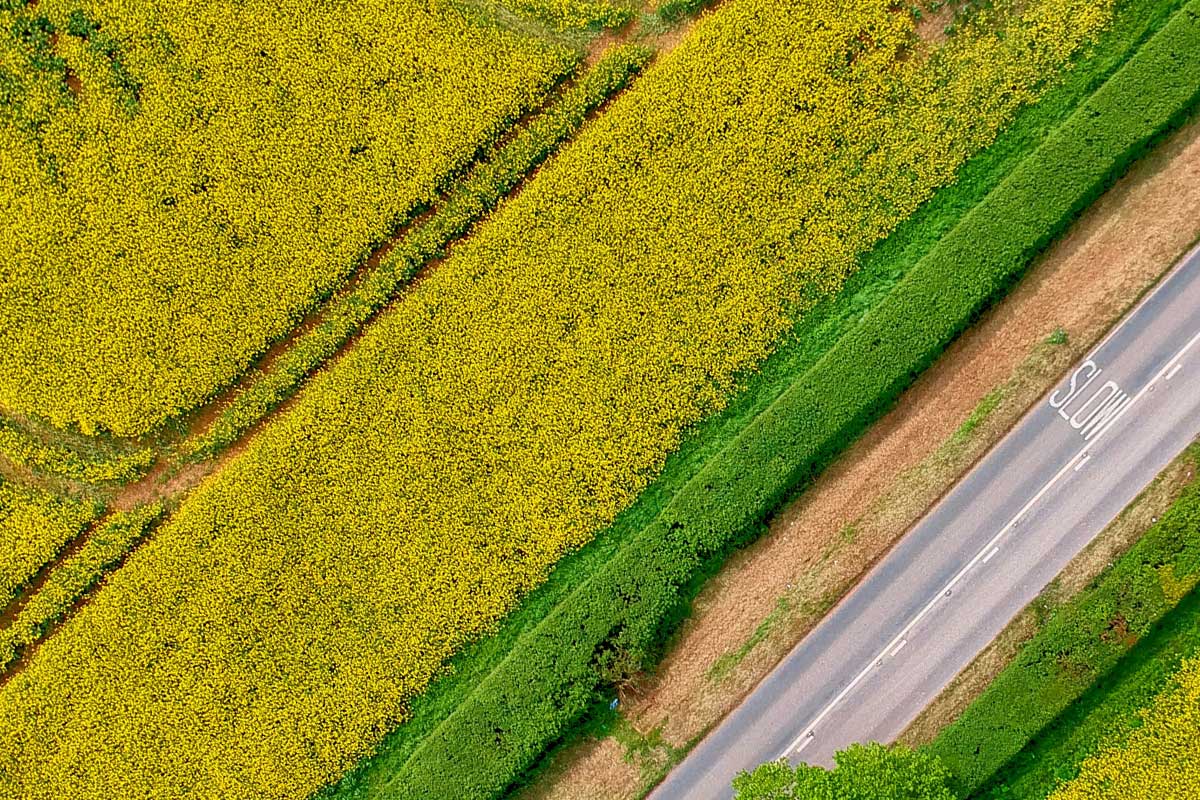 Arable field. Credit: Pexels Red Zeppelin 