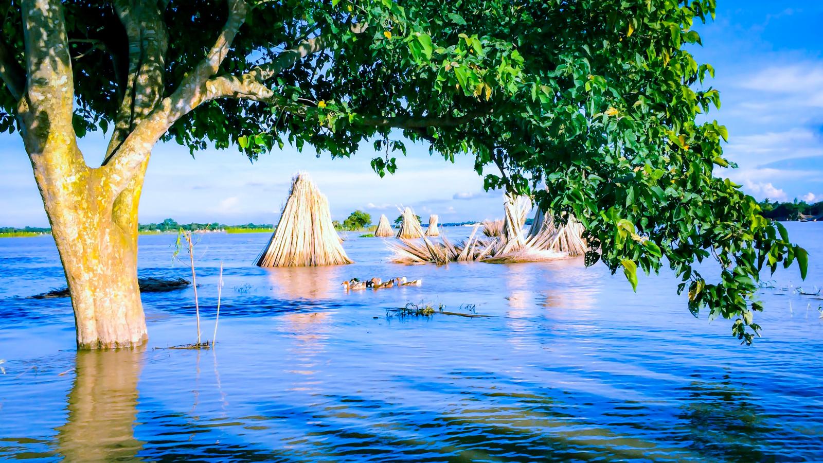 A flood in Bangladesh. Photo credit: Pexels