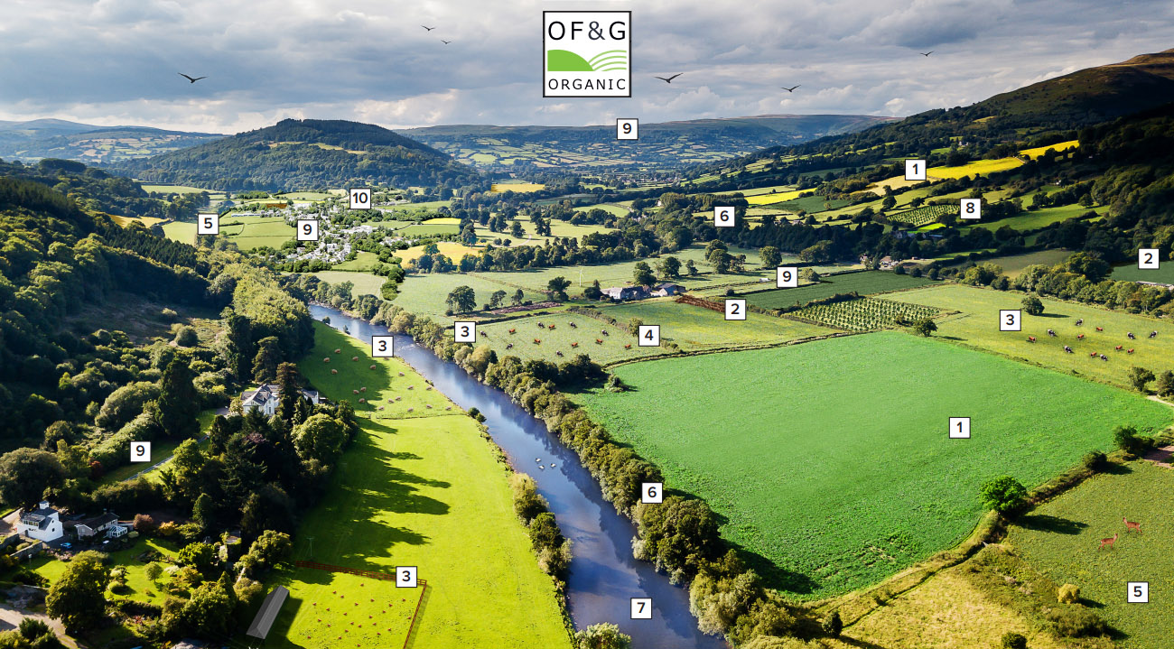 Photo credit: Land sharing model by Organic Farmers & Growers (download the illustration and description below)