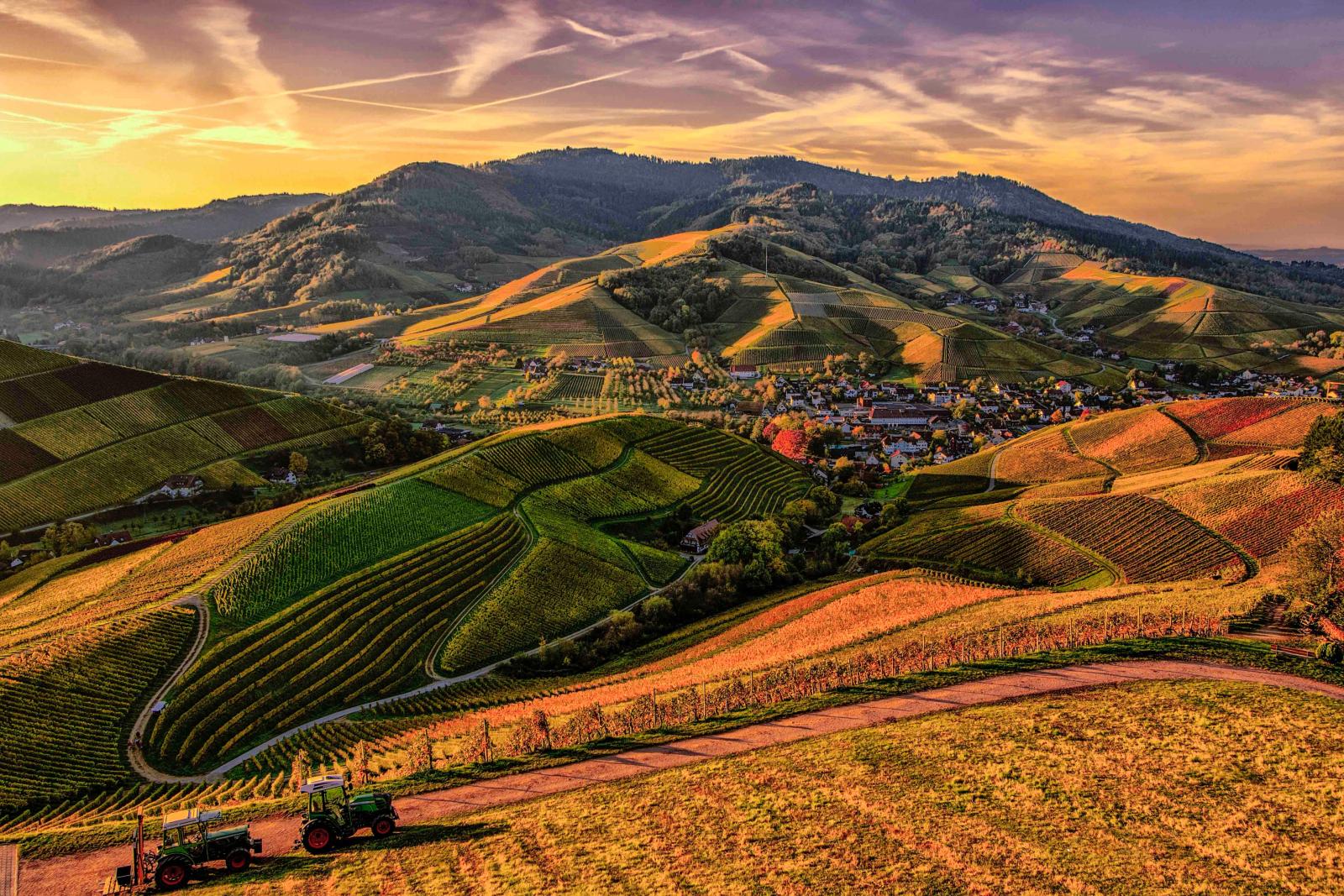 Mountain view of farmland. Photo credit: Pexels